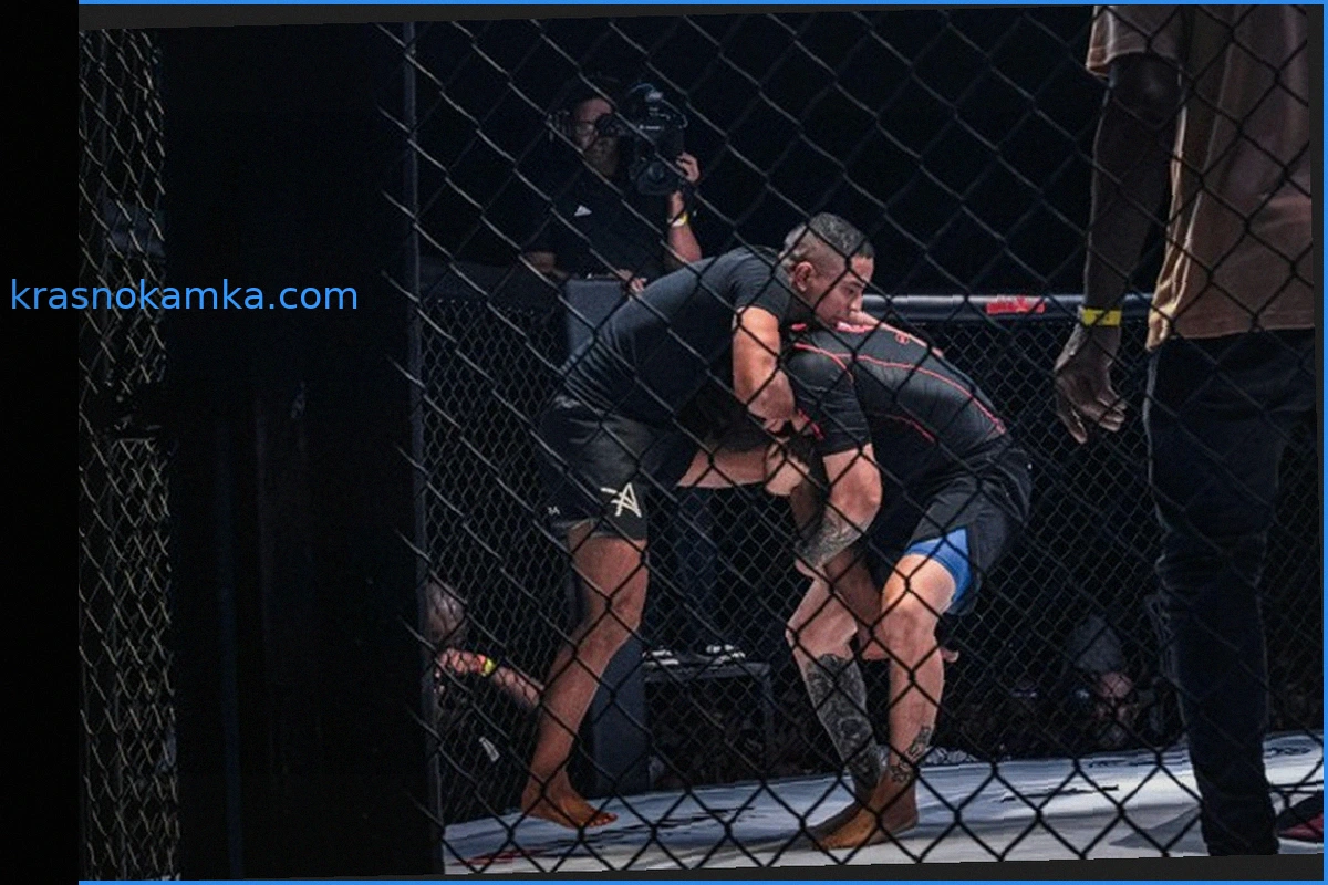 UFC: ключевые бои конца 2026 года и коэффициенты