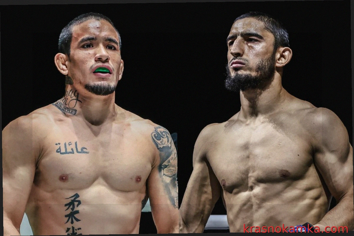 Лукас Габриэль против Алибега Расулова: главный бой ONE Fight Night 49