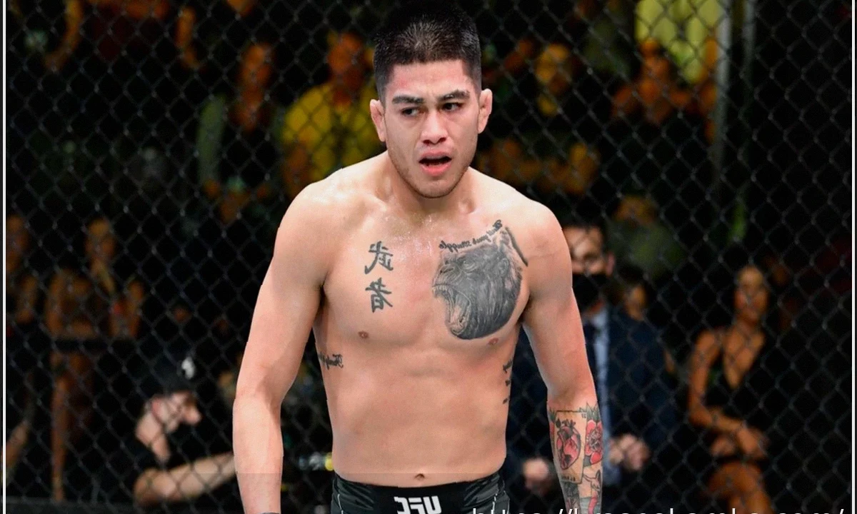 Джон Кастанеда: «Это очень жесткая индустрия», — признается боец, сражаясь за свое место в UFC